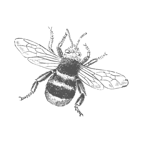 bee-ops