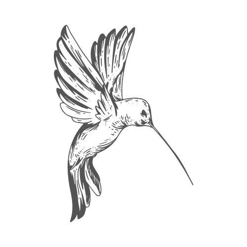 hummingbird-strat