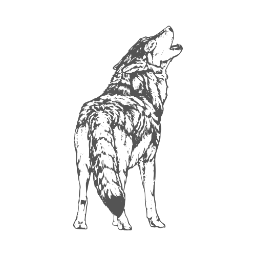 wolf-voice